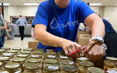 Local Nonprofits Come Together to Assemble Over 100 Thanksgiving Meal Kits